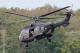 S-444